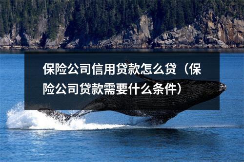 保险公司信用贷款怎么贷（保险公司贷款需要什么条件）
