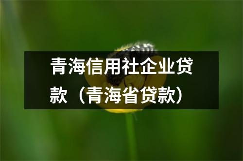 青海信用社企业贷款(青海省贷款)