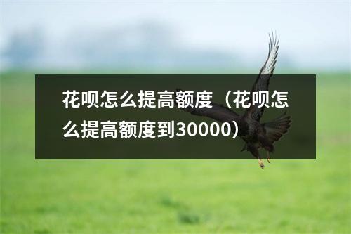 花呗怎么提高额度（花呗怎么提高额度到30000）