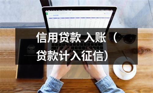 信用贷款 入账（贷款计入征信）