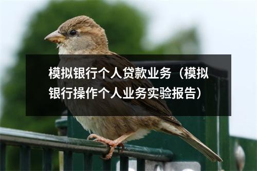 模拟银行个人贷款业务（模拟银行操作个人业务实验报告）