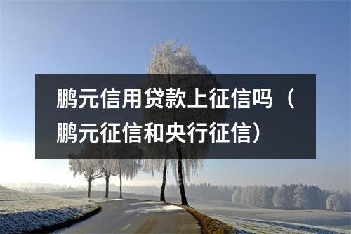 鹏元信用贷款上征信吗（鹏元征信和央行征信）