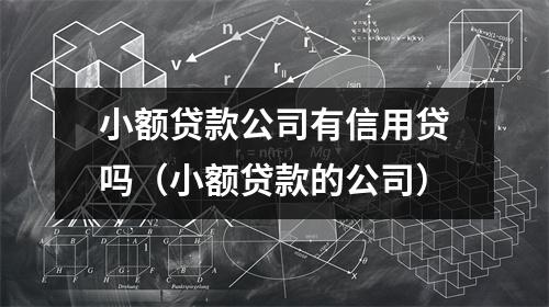 小额贷款公司有信用贷吗（小额贷款的公司）