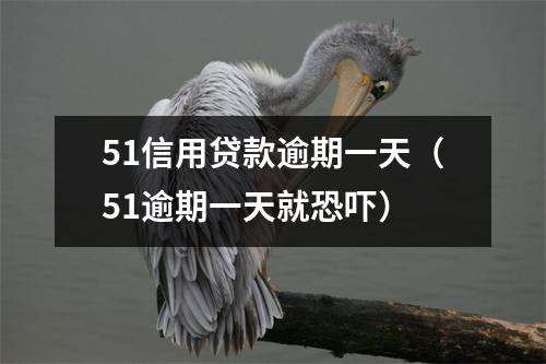 51信用贷款逾期一天（51逾期一天就恐吓）