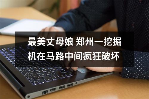 最美丈母娘 郑州一挖掘机在马路中间疯狂破坏