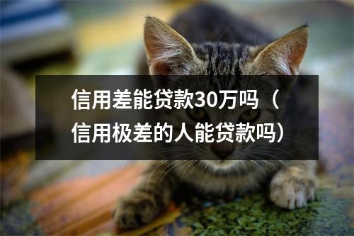 信用差能贷款30万吗（信用极差的人能贷款吗）