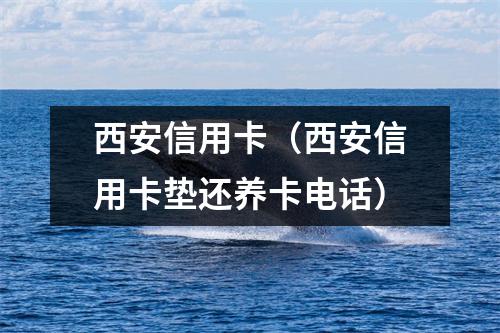 西安信用卡（西安信用卡垫还养卡电话）