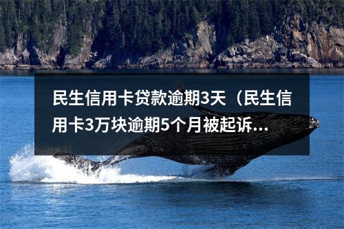 民生信用卡贷款逾期3天（民生信用卡3万块逾期5个月被起诉了怎么办）