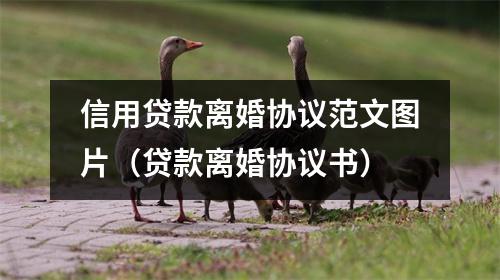 信用贷款离婚协议范文图片（贷款离婚协议书）