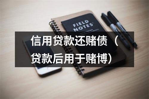 信用贷款还赌债（贷款后用于赌博）