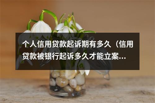 个人信用贷款起诉期有多久（信用贷款被银行起诉多久才能立案）