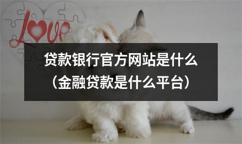 贷款银行官方网站是什么（金融贷款是什么平台）