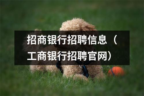 招商银行招聘信息（工商银行招聘官网）