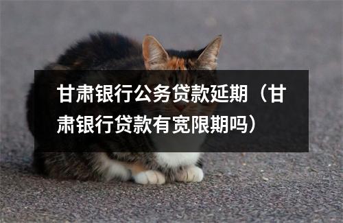 甘肃银行公务贷款延期（甘肃银行贷款有宽限期吗）