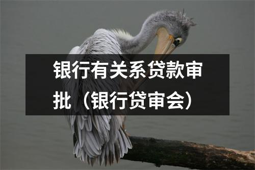 银行有关系贷款审批（银行贷审会）