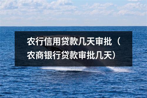 农行信用贷款几天审批（农商银行贷款审批几天）