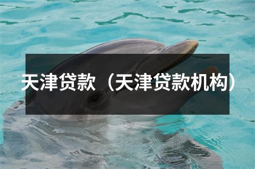 天津贷款（天津贷款机构）