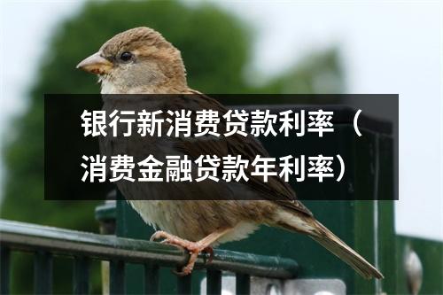 银行新消费贷款利率（消费金融贷款年利率）