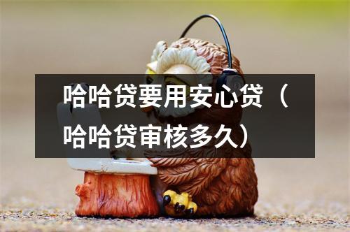 哈哈贷要用安心贷(哈哈贷审核多久)
