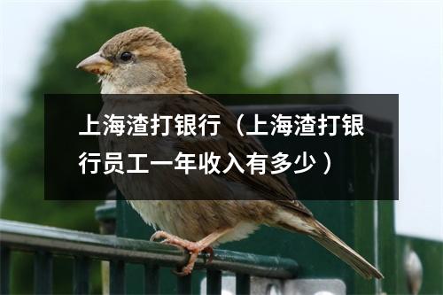 上海渣打银行（上海渣打银行员工一年收入有多少 ）