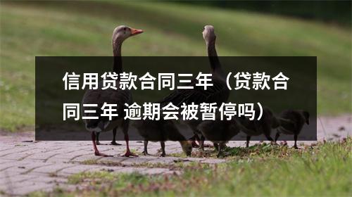 信用贷款合同三年（贷款合同三年 逾期会被暂停吗）