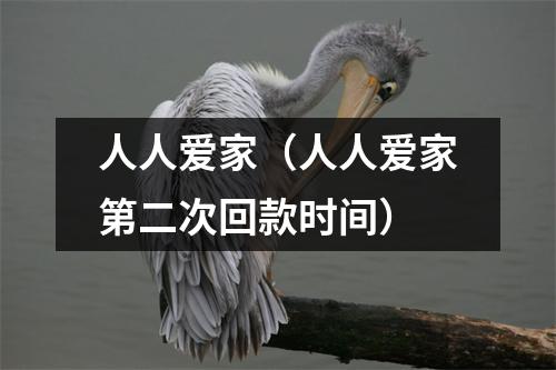 人人爱家（人人爱家第二次回款时间）