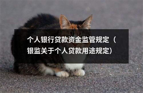 个人银行贷款资金监管规定（银监关于个人贷款用途规定）