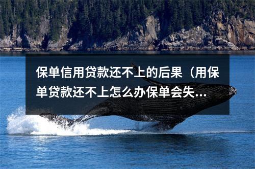 保单信用贷款还不上的后果（用保单贷款还不上怎么办保单会失效吗?）