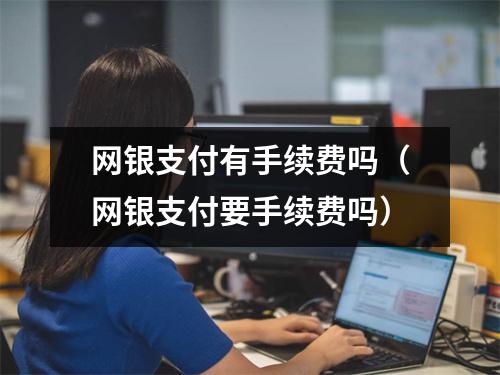 网银支付有手续费吗(网银支付要手续费吗)