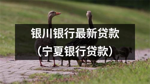 银川银行最新贷款(宁夏银行贷款)