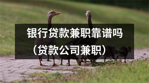 银行贷款兼职靠谱吗（贷款公司兼职）