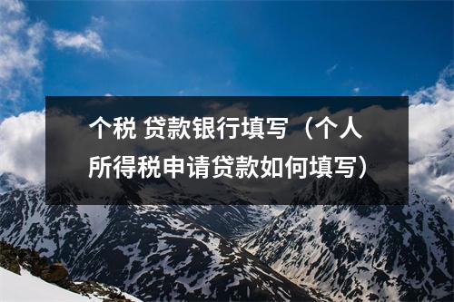 个税 贷款银行填写（个人所得税申请贷款如何填写）