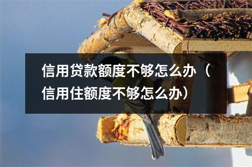 信用贷款额度不够怎么办（信用住额度不够怎么办）