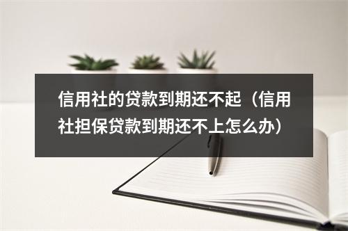 信用社的贷款到期还不起(信用社担保贷款到期还不上怎么办)