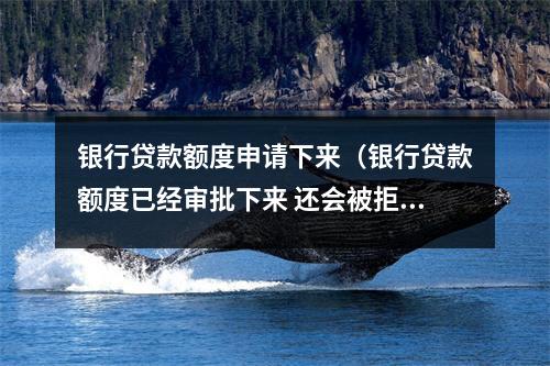 银行贷款额度申请下来（银行贷款额度已经审批下来 还会被拒吗）