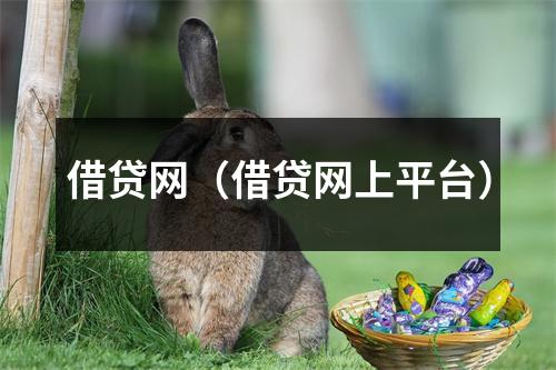 借贷网(借贷网上平台)
