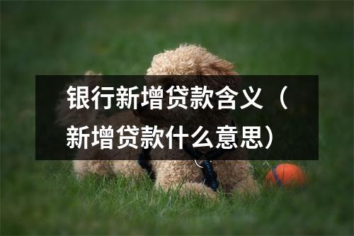 银行新增贷款含义（新增贷款什么意思）