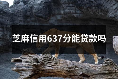 芝麻信用637分能贷款吗