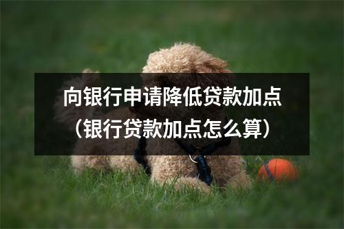 向银行申请降低贷款加点（银行贷款加点怎么算）