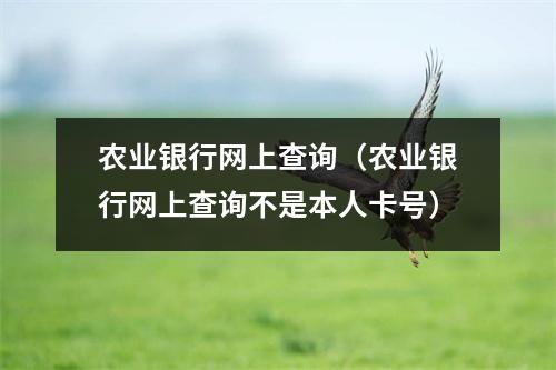 农业银行网上查询（农业银行网上查询不是本人卡号）