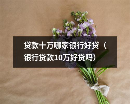 贷款十万哪家银行好贷(银行贷款10万好贷吗)