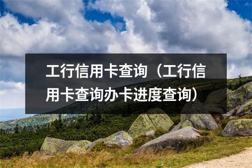 工行信用卡查询（工行信用卡查询办卡进度查询）