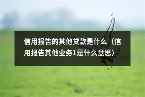 信用报告的其他贷款是什么（信用报告其他业务1是什么意思）