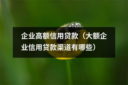 企业高额信用贷款(大额企业信用贷款渠道有哪些)