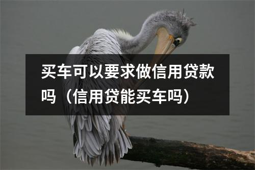 买车可以要求做信用贷款吗（信用贷能买车吗）