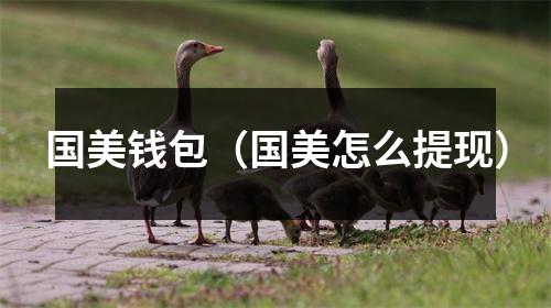 国美钱包（国美怎么提现）