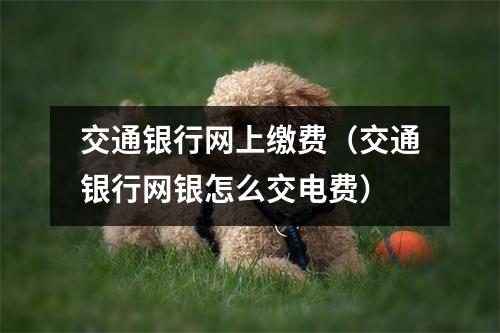 交通银行网上缴费（交通银行网银怎么交电费）