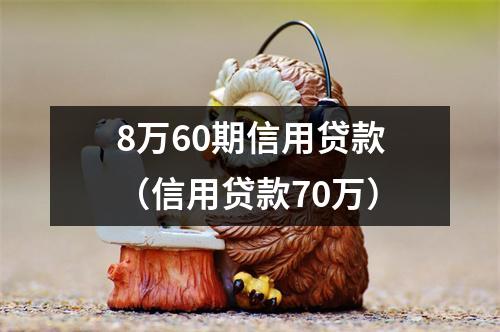 8万60期信用贷款(信用贷款70万)