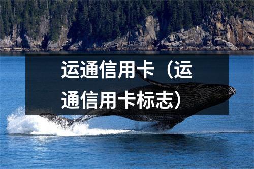 运通信用卡（运通信用卡标志）
