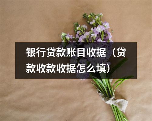 银行贷款账目收据（贷款收款收据怎么填）